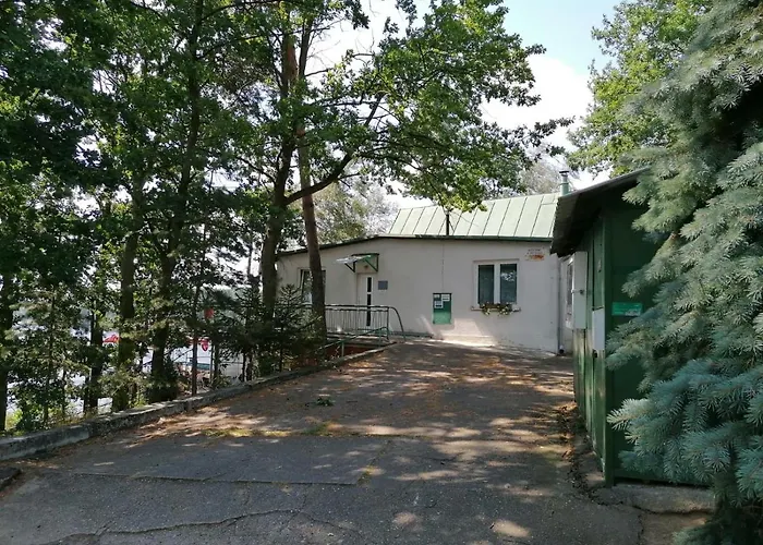 Sk Delfin Jesenice Camping Cheb
